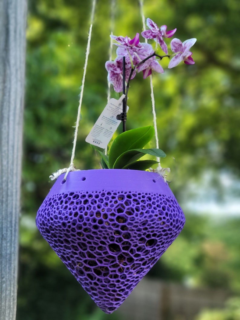 Hanging Orchid Pot Etsy