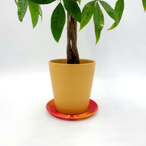 May include: A potted plant with green leaves in a yellow ceramic pot with a red and orange saucer.