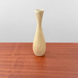 May include: A tall, slender ceramic vase with a flared rim and a tapered neck that widens towards a rounded base. The surface features a mottled, speckled texture in shades of beige, cream, and light tan, creating a subtle, organic appearance.