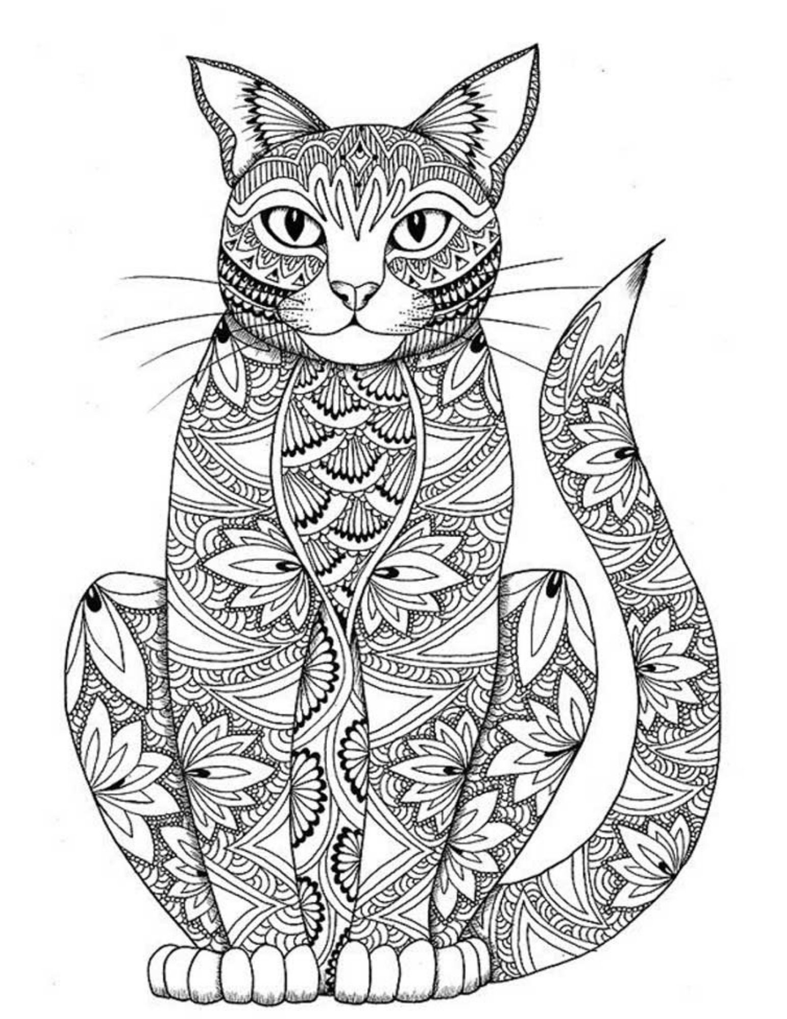 Adult Cat Coloring Book 30 Pages Digital Download/printable Etsy