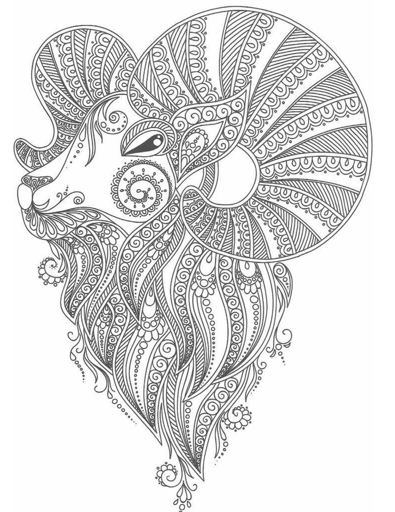May include: A black and white line drawing of a ram's head with intricate, detailed patterns in the horns and beard.