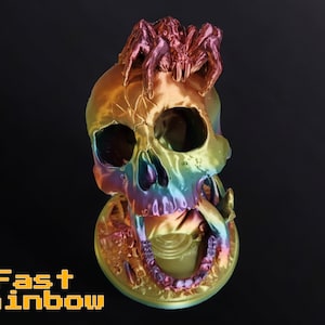 May include: A decorative skull with a rainbow metallic finish, featuring a spider on top. The skull has visible teeth and eye sockets. The base of the skull is circular. The text "Fast Rainbow" is displayed in yellow block letters.