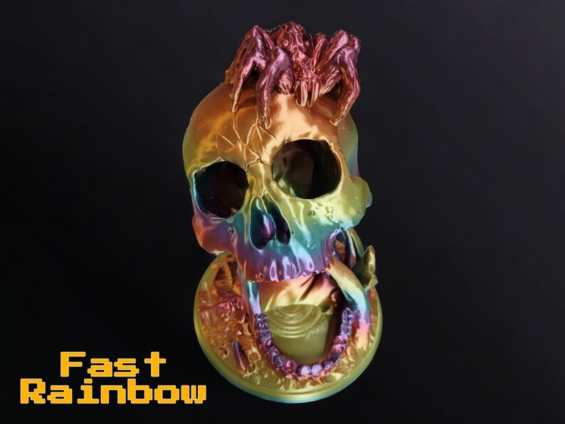 May include: A decorative skull with a rainbow metallic finish, featuring a spider on top. The skull has visible teeth and eye sockets. The base of the skull is circular. The text "Fast Rainbow" is displayed in yellow block letters.