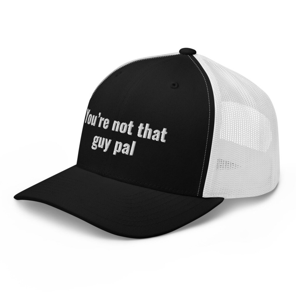 Youre not that guy pal trucker cap etsy