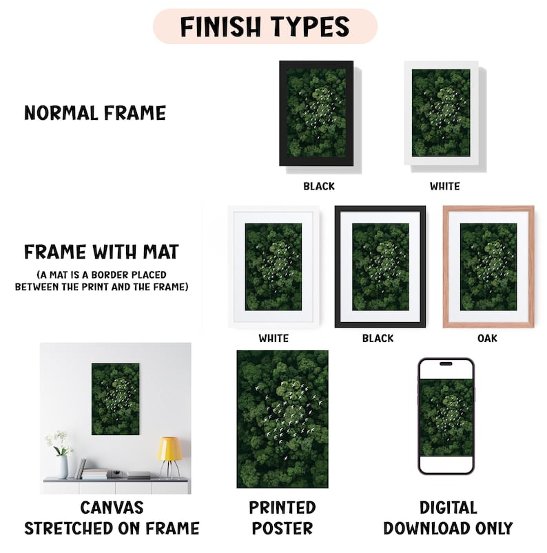 various types of framed artwork, including a normal frame, a frame with a mat, a white frame, a black frame, an oak frame, a white canvas stretched on a frame, a printed poster, and a digital download only.