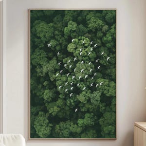 Forest Birds Arrow Wall Art, Aerial Nature Print, Direction Symbol Poster, Calming Green Landscape Artwork, Modern Office Decor