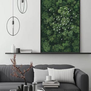 a modern living room with a gray sofa, a coffee table, and a large framed picture of a forest with birds flying above it. The room has a minimalist and clean design, with a black and white color scheme.