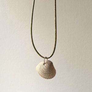 White Sea Shell Pendant Necklace: Beachy Sterling Silver Accessory