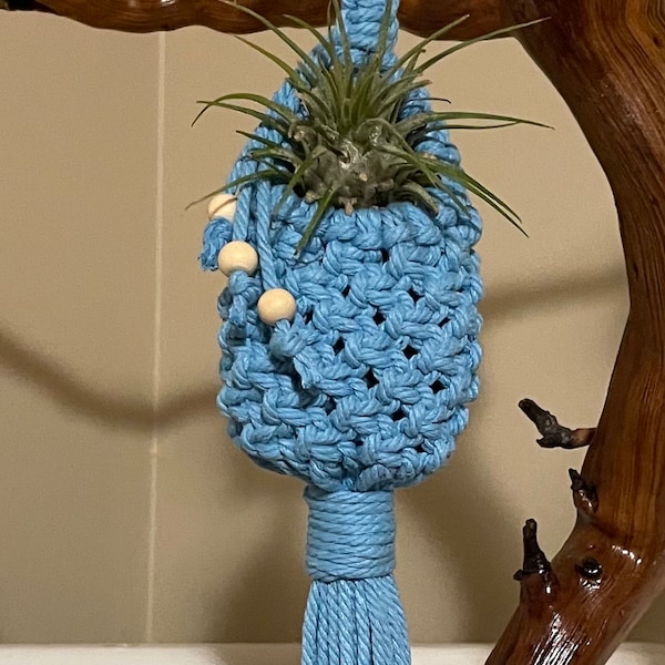 Blue macrame airplant hanger