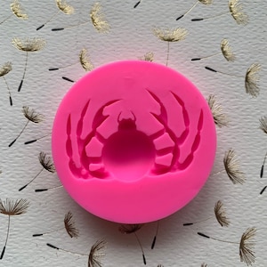 May include: Bright pink silicone mold in a circular shape, featuring a detailed spider design. The mold is designed for crafting and creating decorative elements. The spider design includes the spider's body and legs.