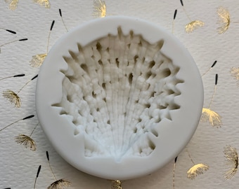 Sea Shell Silicone Mold 3D