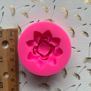 May include: Pink silicone mold with a single flower design. The mold is approximately 2 inches in diameter.