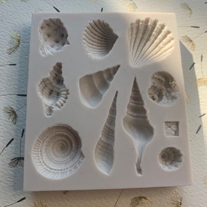 Sea Shells Silicone Mold 3D Petite