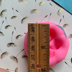 May include: Pink silicone mold for making a small cake or dessert. The mold is 2.5 inches in diameter and is shown next to a ruler.