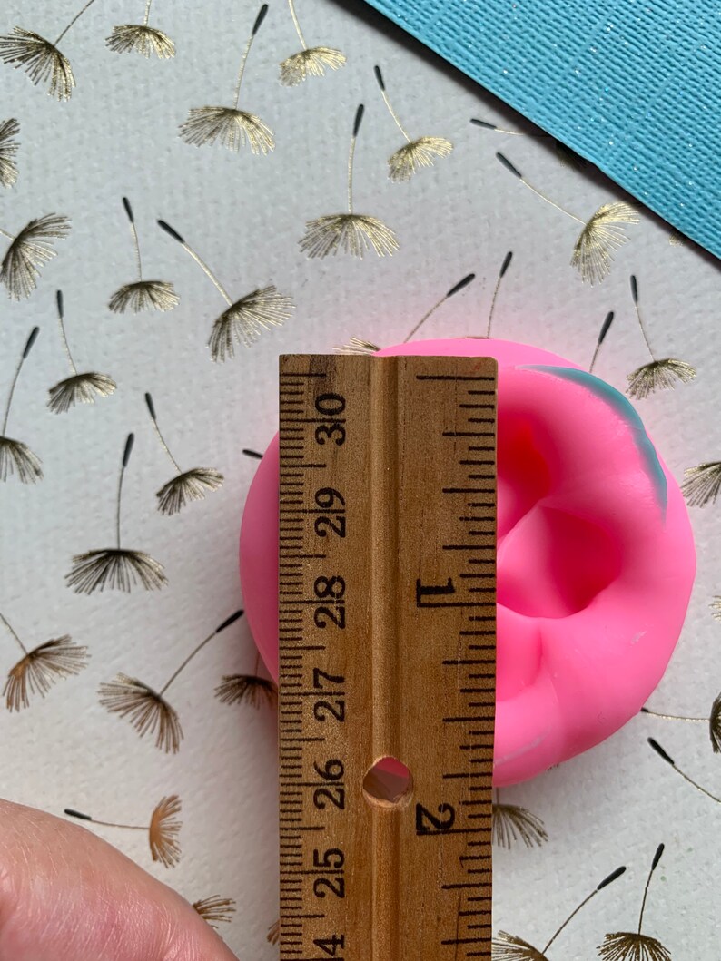 May include: Pink silicone mold for making a small cake or dessert. The mold is 2.5 inches in diameter and is shown next to a ruler.
