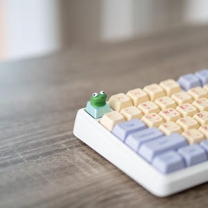 May include: A white mechanical keyboard with pastel-colored keycaps. The keys are cream, light blue, and pink. A green frog keycap sits on the top row. The keyboard is on a wooden surface.