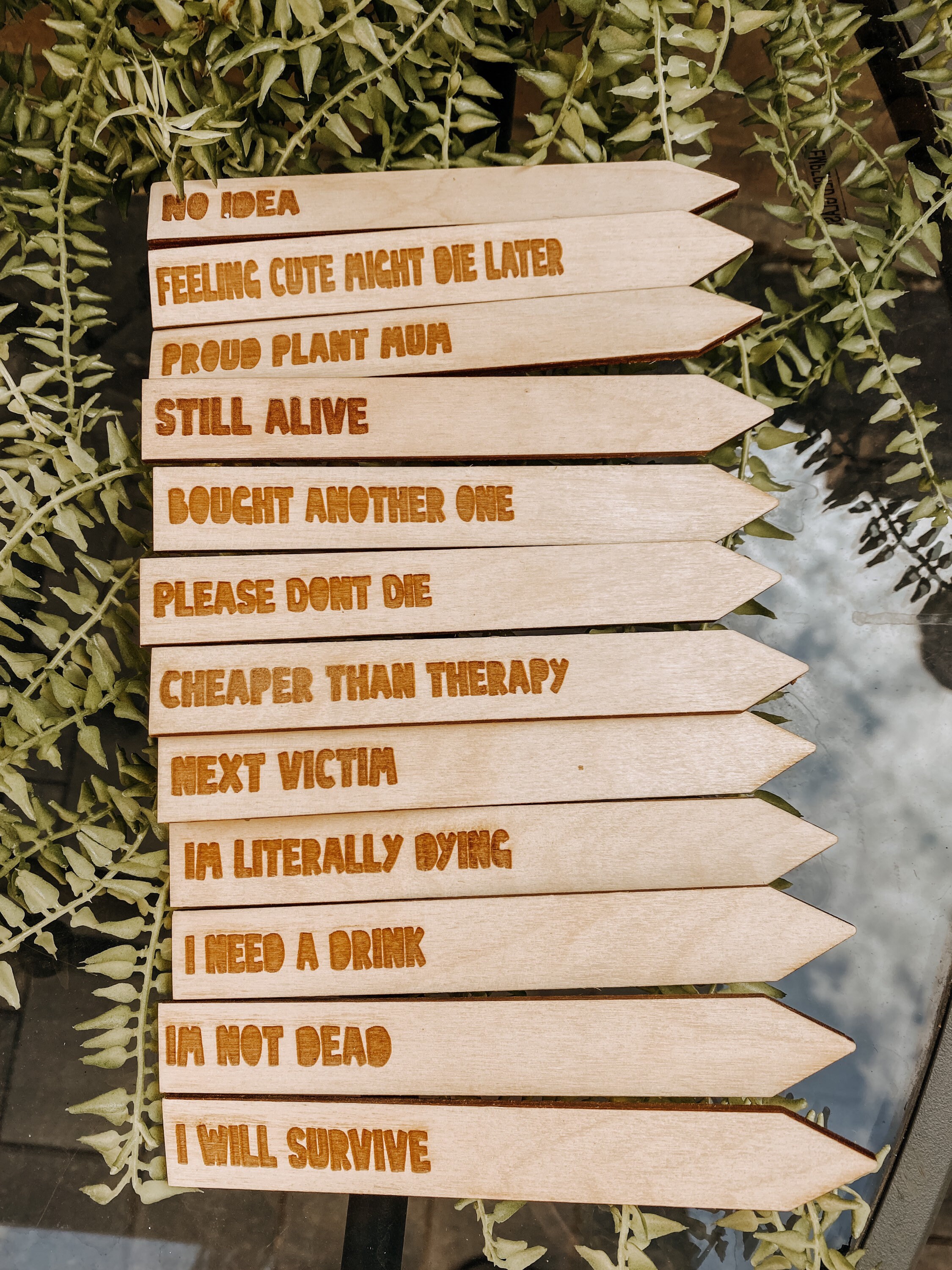 Plant Sticks/ Engraved / Funny Sayings / Plywood Etsy UK