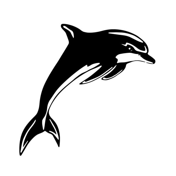 Dolphin SVG, PNG, EPS, jpg digital download