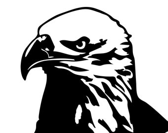 Bald Eagle SVG, PNG, EPS, jpg digital download