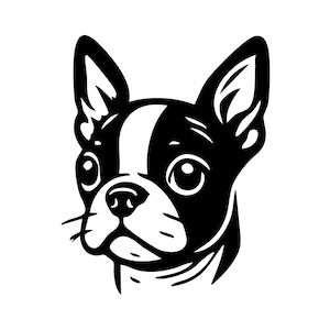 Cricut Boston Terrier Svg file, PNG, EPS, jpg digital download