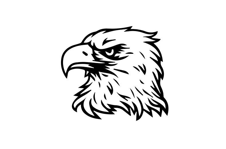 Bald Eagle SVG PNG EPS dxf jpg digital download | Etsy