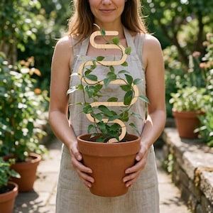 Op de afbeelding: Een lichtgekleurd houten plantenrek met een doorlopend, S-vormig ontwerp. Het rek is geplaatst in een terracotta-kleurige pot met een groene klimplant met ovale bladeren die zich rondom de houten structuur van het plantenrek wikkelen.