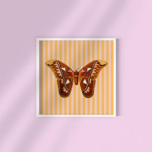 Vintage Schmetterling Druck: Orange gestreifte quadratische Kunst (Digitaler Download)