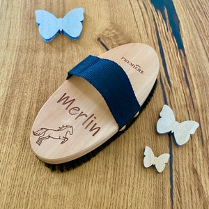 Pferdebürste Kardätsche Design mit Wunschname + Wunschsymbol - Personalisiert Geschenkidee für Reiter. Pferdebesitzer Isländer Islandpferd