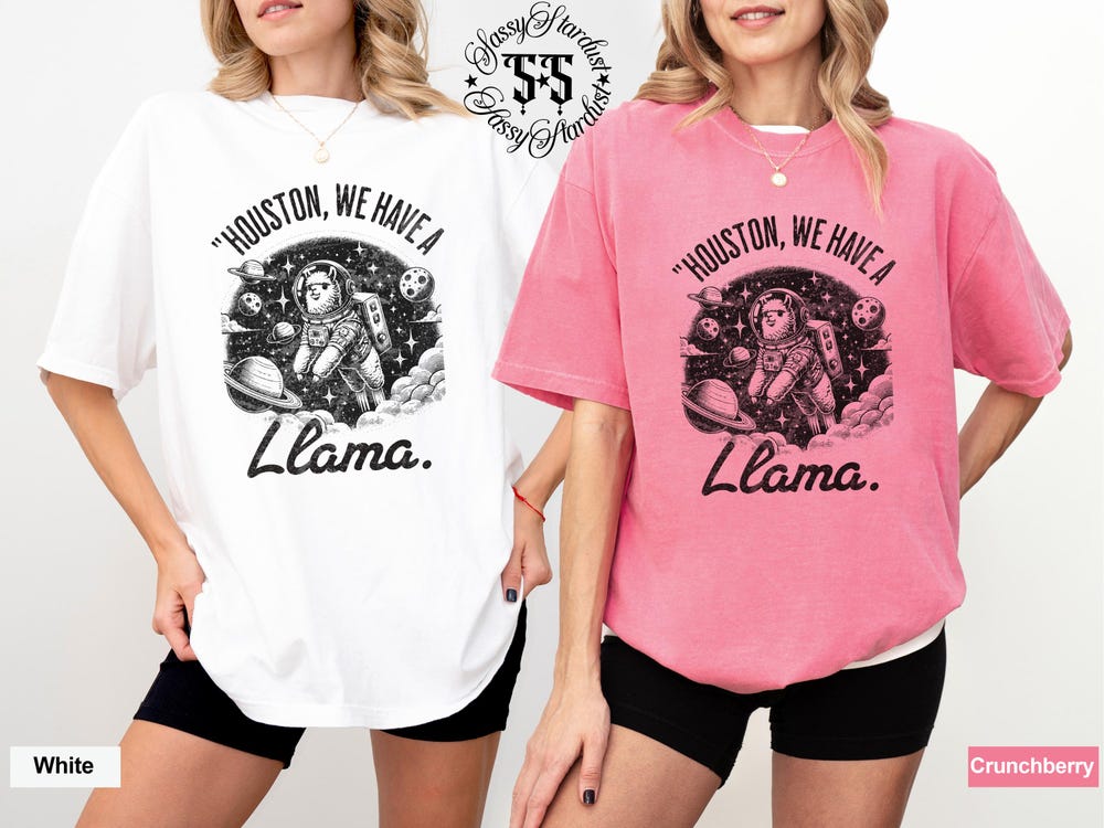 Metroz Style Houston We Have A Llama Comfort Colors Shirt, Retro 90S Shirt, Sarcastic Shirt, Meme Shirt, Funny Animal Shirt, Llama Shirt, Space Shirt