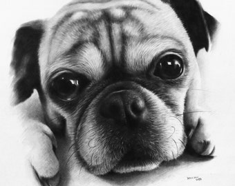 Aangepast houtskoolportret, handgetekende honden- en kattenkunst
