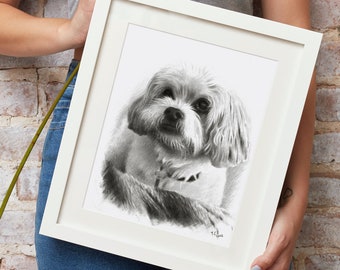 Custom dog drawing, charcoal pet drawing from photo, portrait drawing for cats and dogs, realistic pencil drawing, unique gift.