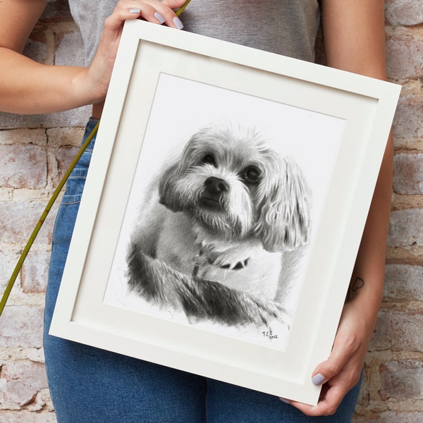 Custom dog drawing, charcoal pet drawing from photo, portrait drawing for cats and dogs, realistic pencil drawing, unique gift.