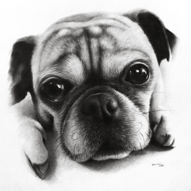 Custom charcoal portrait from photo, handmade personalized realistic drawing, Original hand-made drawing. zdjęcie 7