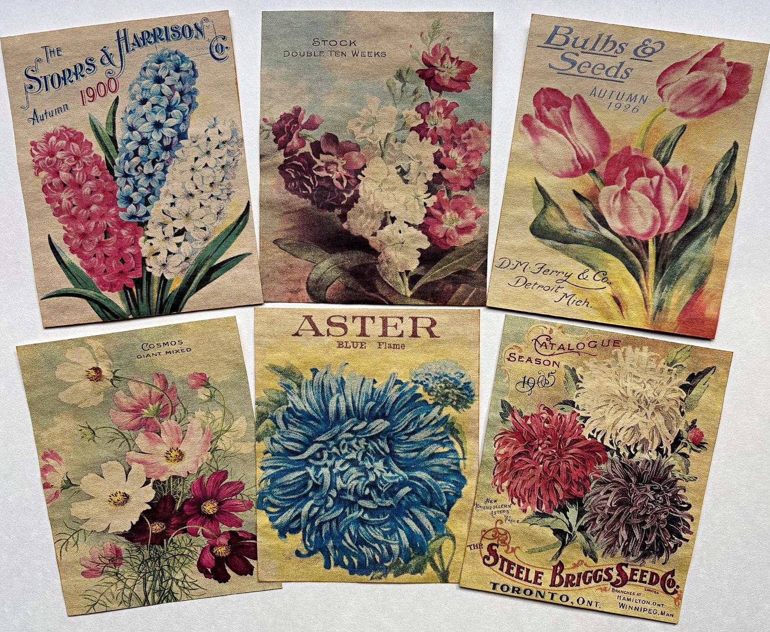Set of 18 Large SEED and FLOWER Packet LABELS Vintage Victorian Reproduction Images