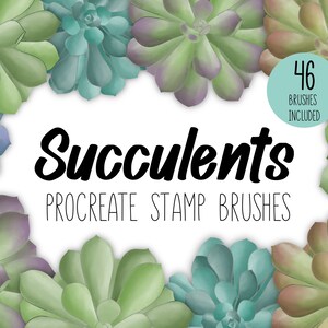 Succulents | A procreate stamp brushset