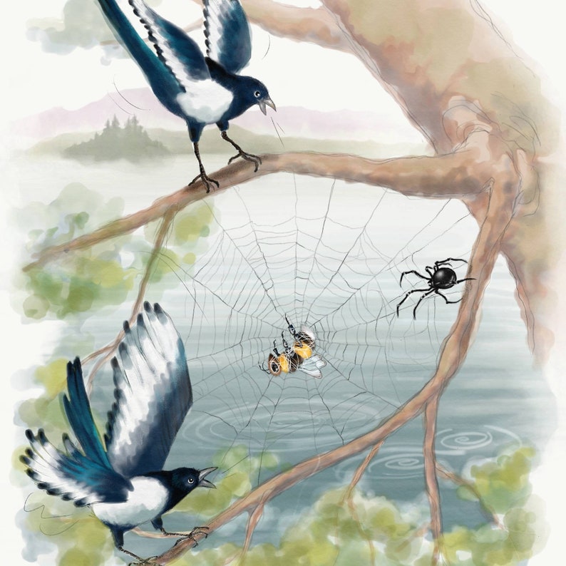 May include: Two black and white magpies perched on a branch, looking at a bee caught in a spider web. A black spider is also visible on the web.