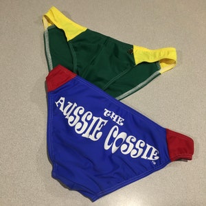 Australian Mens Brazilian Swim Brief