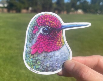 Hummingbird Sticker - Sticker - Vinyl Sticker - Water Bottle Sticker - Laptop Sticker - Cute Sticker