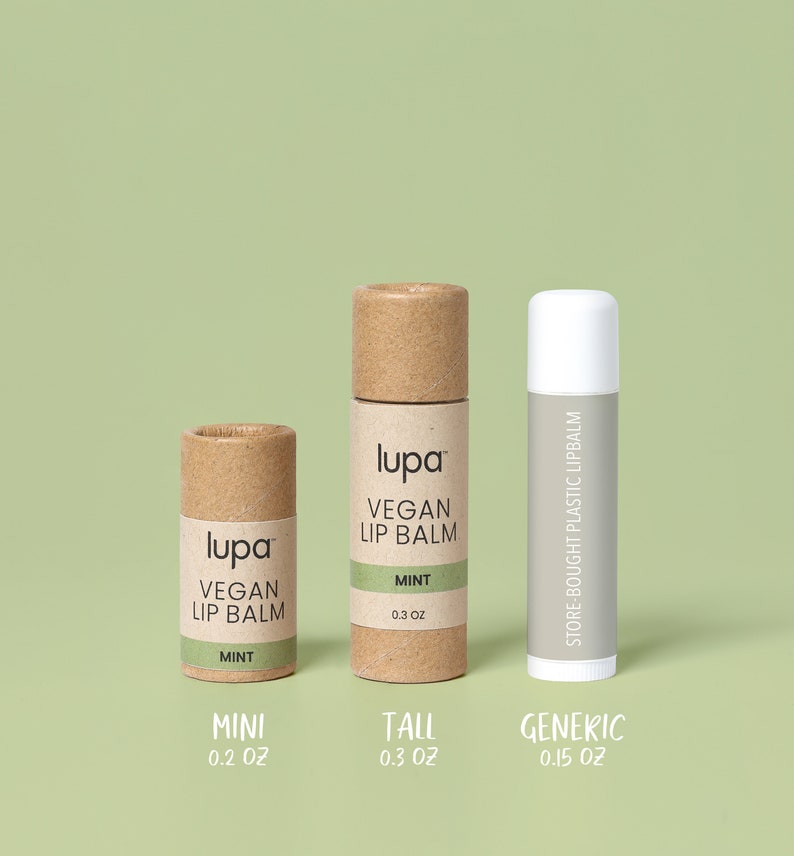 Vegan Lip Balm Organic Ingredients, Plastic-Free, Biodegradable, No Preservatives, Zero Additives, Handmade Mint