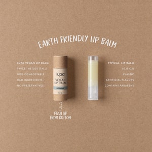 Vegan Lip Balm Organic Ingredients, Plastic-Free, Biodegradable, No Preservatives, Zero Additives, Handmade image 10