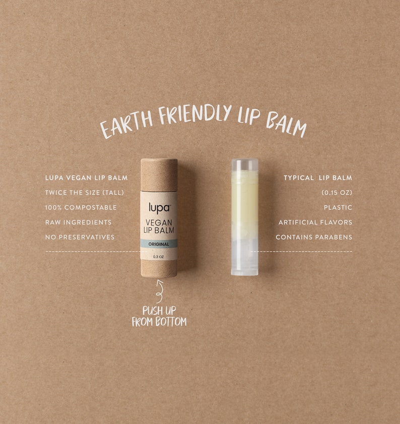 Vegan Lip Balm Organic Ingredients, Plastic-Free, Biodegradable, No Preservatives, Zero Additives, Handmade image 10