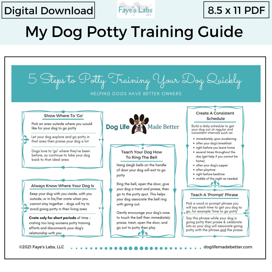 Step Guide to Puppy Potty Training Dog Potty Training