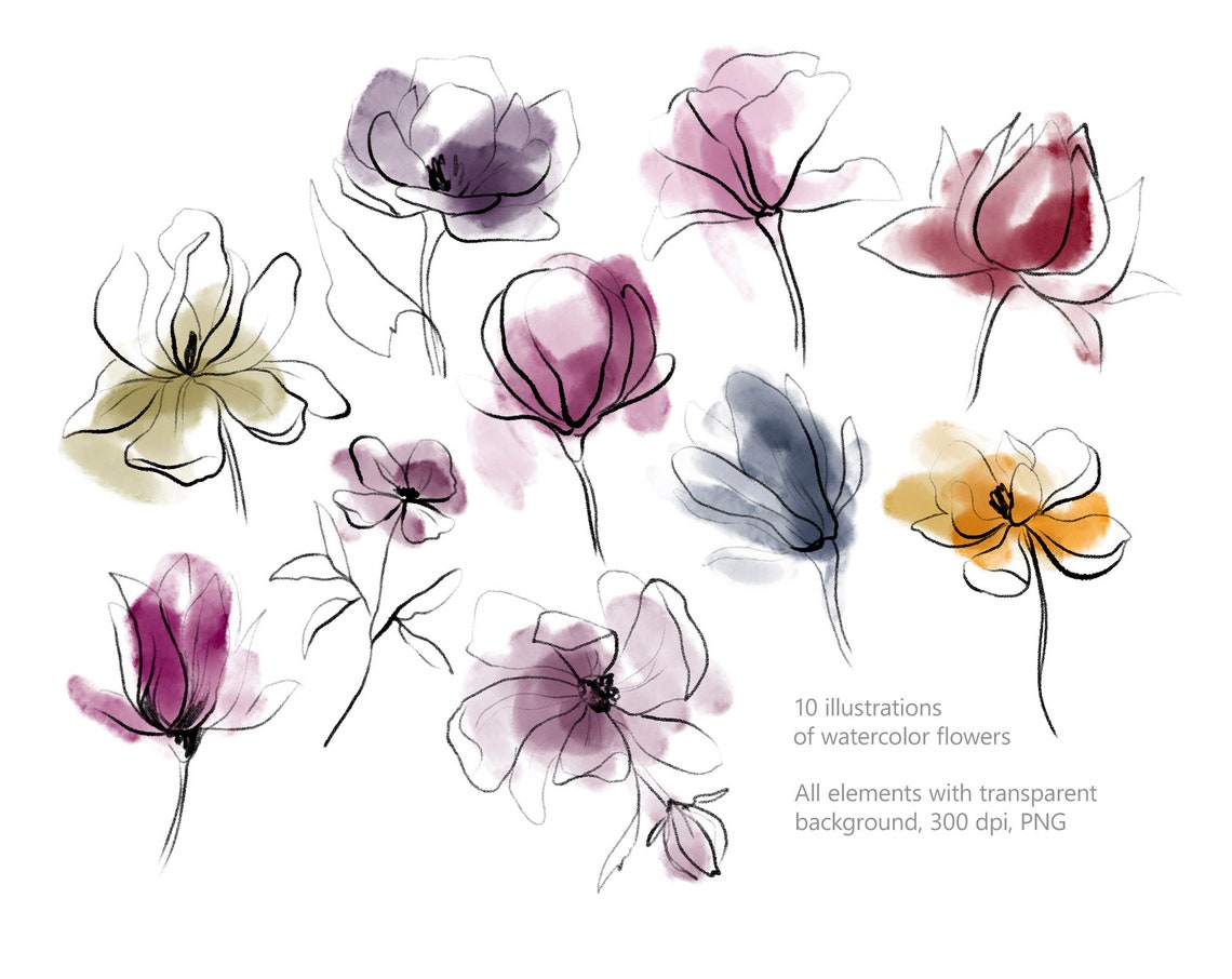 Botanical Line Art Clipart Watercolor Flower Clipart Flowers | Etsy