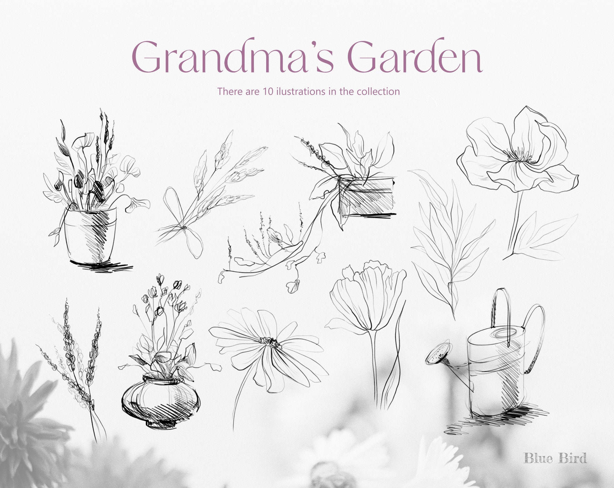 Botanical line art garden clipart PNG set hand drawn Etsy