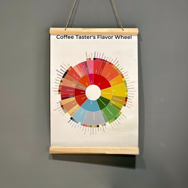 Coffee Taster's Flavor Wheel Chart Print, Colorful Wall Art Diagram for Coffee Lovers, Coffee Flavors Infographic Poster Illustration