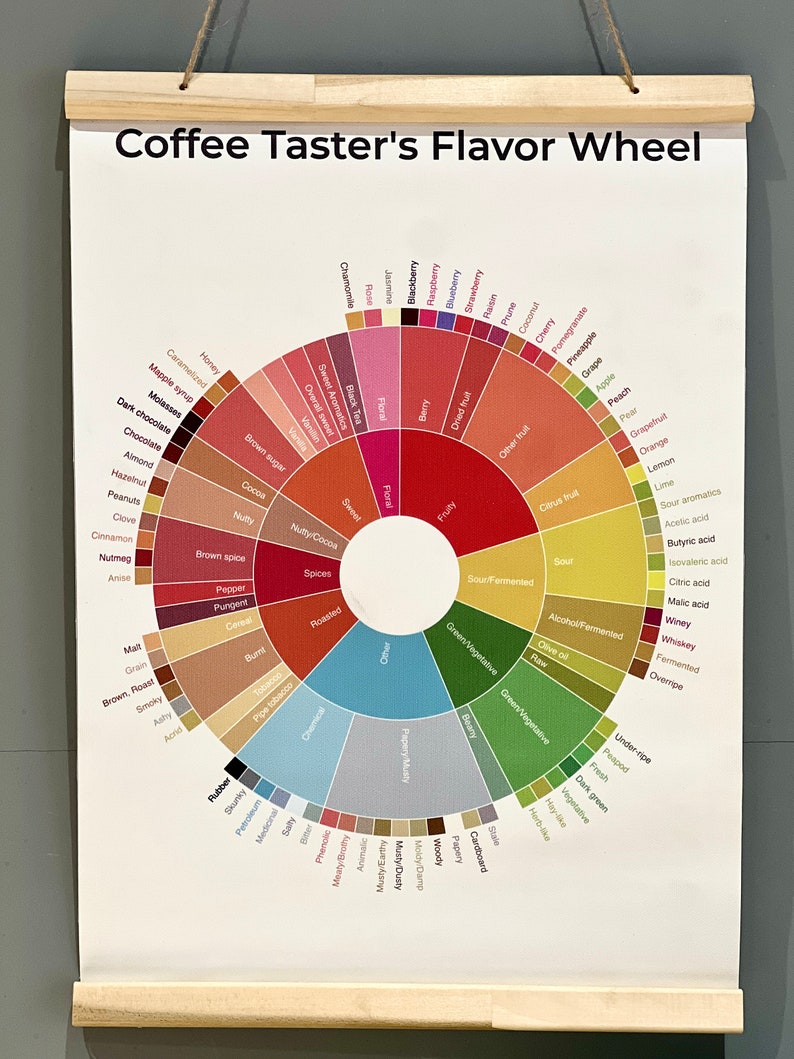 Coffee Flavor Wheel Art Print, wall art, wall decor, housewarming gift, kitchen decor, home decor, birthday gift image 2