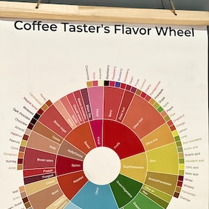 Coffee Flavor Wheel Art Print, wall art, wall decor, housewarming gift, kitchen decor, home decor, birthday gift image 7