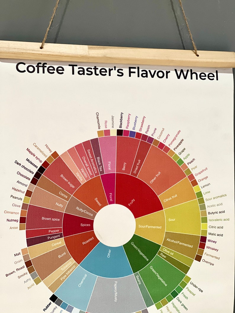 Coffee Flavor Wheel Art Print, wall art, wall decor, housewarming gift, kitchen decor, home decor, birthday gift image 7