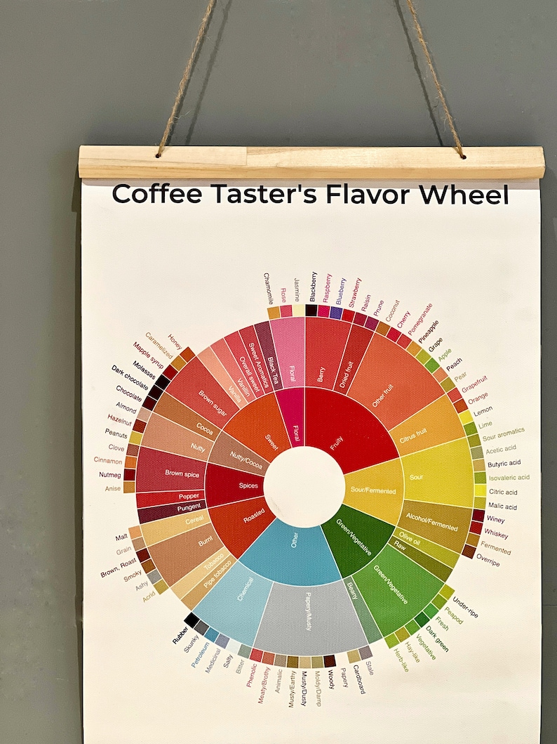 Coffee Flavor Wheel Art Print, wall art, wall decor, housewarming gift, kitchen decor, home decor, birthday gift image 6