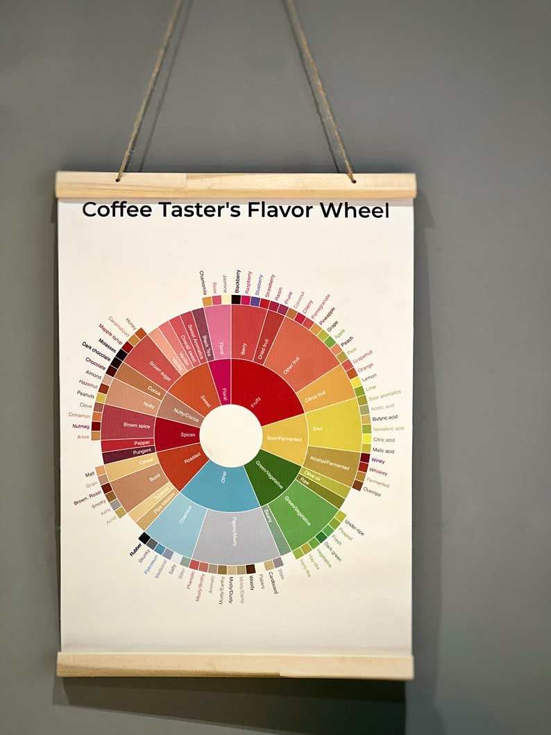 Coffee Flavor Wheel Art Print, wall art, wall decor, housewarming gift, kitchen decor, home decor, birthday gift image 5